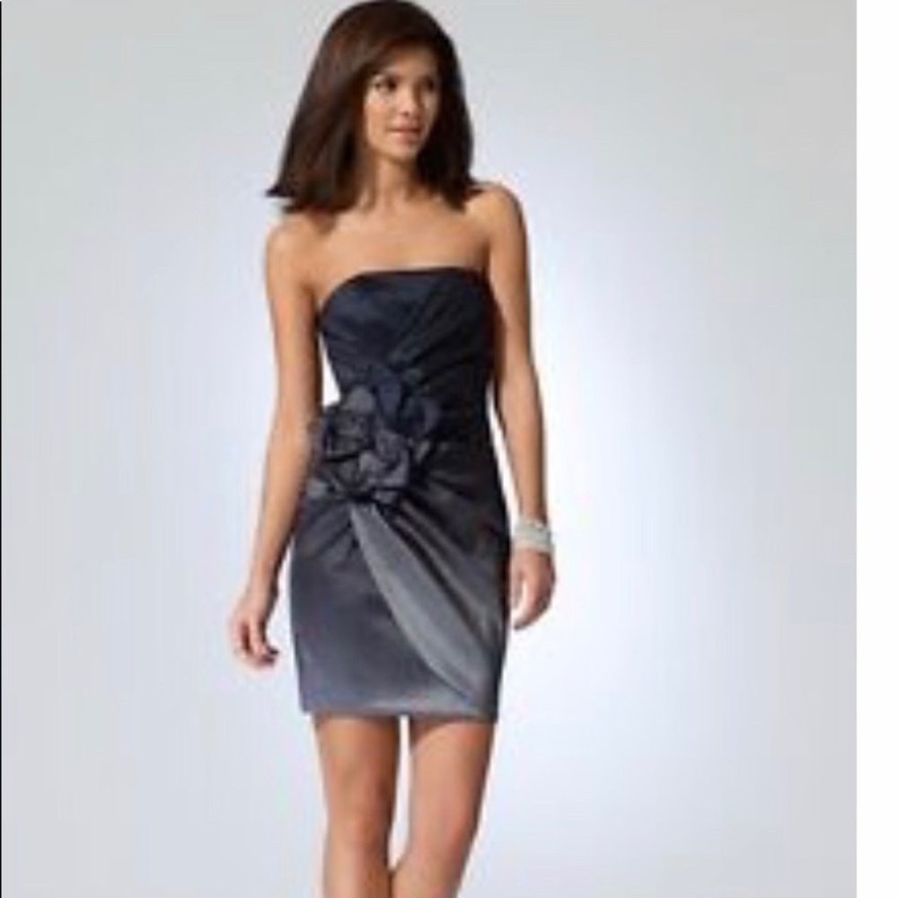 Cache Ombré taffeta strapless dress